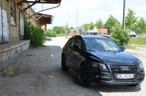 Black Mamba - Q5 3.0 Tdi - Fremdfabrikate