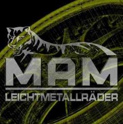 E46  $$$  Black Mamba $$$ mit E92 M3 Kiemen - 3er BMW - E46