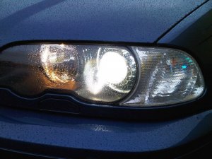 320 Ci blauhai - 3er BMW - E46