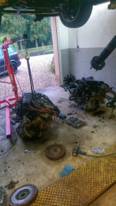 E36 Dakargelbes Coupe OEM! - 3er BMW - E36 E36 Dakargelbes Coupe OEM! - 3er BMW - E36