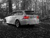 Alpinweisser LCI - 3er BMW - E90 / E91 / E92 / E93 - hinten.jpg