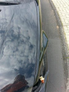 E46, 325 Phönix aus der Asche - 3er BMW - E46 E46, 325 Phönix aus der Asche - 3er BMW - E46