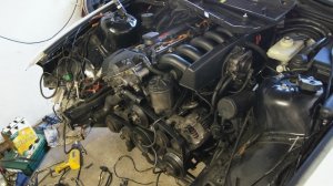 clubsport 332i limited edition - 3er BMW - E36