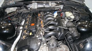clubsport 332i limited edition - 3er BMW - E36
