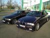 E36 323i M - 3er BMW - E36 - IMG_0300.JPG