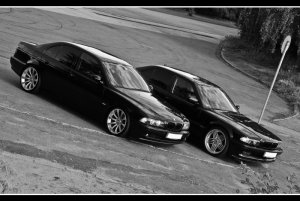 Mein EX e39 530iAg DEZENT 19" - 5er BMW - E39