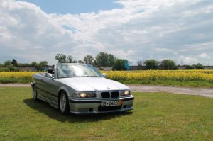 E36, 320 Cabrio - 3er BMW - E36
