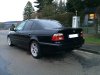 schwarze Limousine - simply clean - 5er BMW - E39 - IMG_1811.jpg