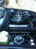 327ix Facelift, News: Verkauft. :( - 3er BMW - E30 - IMG_0364.JPG