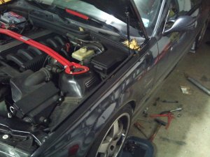 Black Bull - 3er BMW - E36