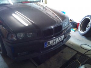 Black Bull - 3er BMW - E36