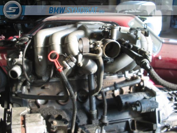 E30, 320 Coupe - 3er BMW - E30 - IMG_6574.JPG