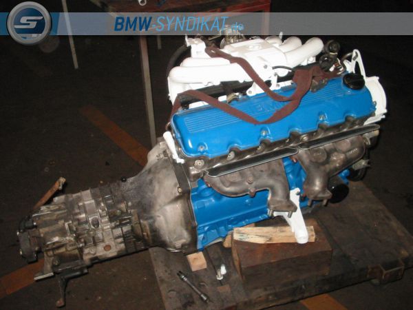 E30, 320 Coupe - 3er BMW - E30 - IMG_8656.JPG
