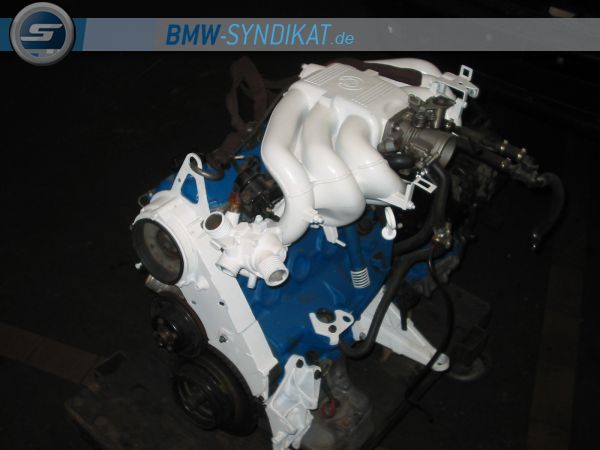 E30, 320 Coupe - 3er BMW - E30 - IMG_8657.JPG