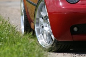 Rotkäppchen mit 325 scharfen Zähnen - 3er BMW - E46 Rotkäppchen mit 325 scharfen Zähnen - 3er BMW - E46