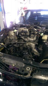 Mein Compact 318ti (ex 316i) - 3er BMW - E36 Mein Compact 318ti (ex 316i) - 3er BMW - E36