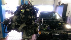 Mein Compact 318ti (ex 316i) - 3er BMW - E36 Mein Compact 318ti (ex 316i) - 3er BMW - E36
