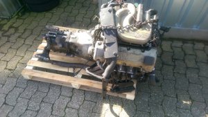 Mein Compact 318ti (ex 316i) - 3er BMW - E36 Mein Compact 318ti (ex 316i) - 3er BMW - E36