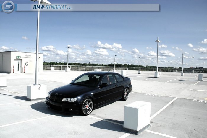 BMW e46 330 FL Special Edition ///PERFORMANCE 313 - 3er BMW - E46