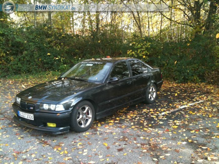Mein Liebling.... E36 M-Paket - 3er BMW - E36