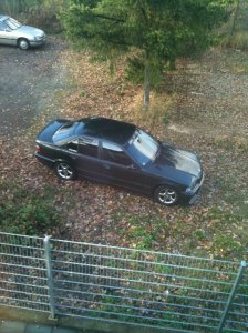 Mein Liebling.... E36 M-Paket - 3er BMW - E36