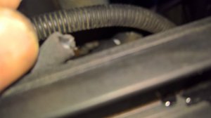 Neues Projekt (325) für den täglichen Gebrauch - 3er BMW - E46 Neues Projekt (325) für den täglichen Gebrauch - 3er BMW - E46