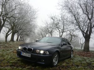 E39 Limo mit M ab Werk - 5er BMW - E39 E39 Limo mit M ab Werk - 5er BMW - E39