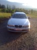 Drift Lady - 5er BMW - E39 - IMG_1306.JPG