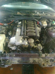 E36 Compact 325i Arancio Calipso - 3er BMW - E36 E36 Compact 325i Arancio Calipso - 3er BMW - E36
