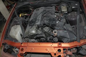 E36 Compact 325i Arancio Calipso - 3er BMW - E36 E36 Compact 325i Arancio Calipso - 3er BMW - E36