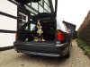BMW E39 523i Touring - NoBudget Alltagsprojekt - 5er BMW - E39 - externalFile.jpg