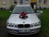 NEW PICZ 328 Titanium - 3er BMW - E46 - externalFile.jpg