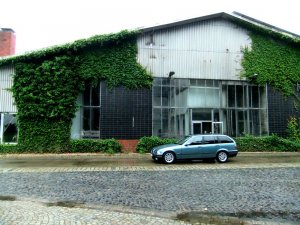 E36-Touring-fl - 3er BMW - E36