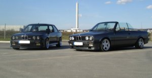 E30 320i Cabrio mit M-Tech 1 - 3er BMW - E30 E30 320i Cabrio mit M-Tech 1 - 3er BMW - E30