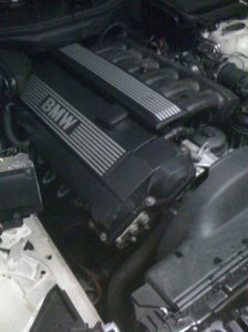 E39 528i (Winterperle) - 5er BMW - E39