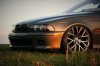 E39 Touring 550iM 6-Gang - 5er BMW - E39 - image.jpg
