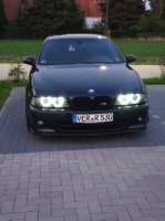 Diplomatenschlitten - 5er BMW - E39 - 2019 (14).jpg