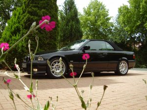 BMW 328i Cabrio - 3er BMW - E36 BMW 328i Cabrio - 3er BMW - E36