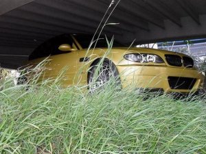 BMW E46  Limousine- M3 CSL Umbau - 3er BMW - E46
