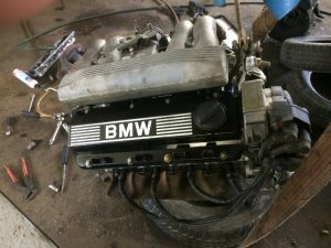 318i Cabrio "Francesca" - 3er BMW - E30