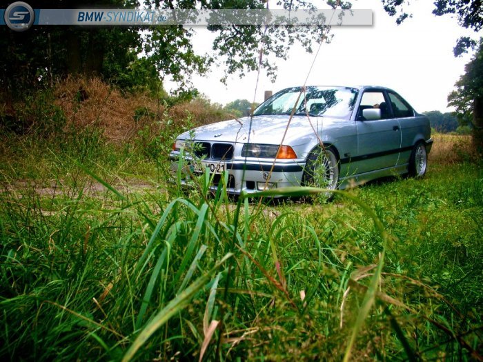 325i, Arktissilber, Alpina Classics - 3er BMW - E36