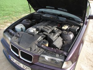 Mein dezenter 325er - 3er BMW - E36