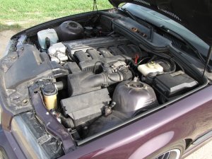 Mein dezenter 325er - 3er BMW - E36
