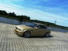 E46 330ci Gold Edition M3 CSL - 3er BMW - E46 - P1030223.JPG