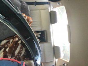 328i OEM-Style - 3er BMW - E46