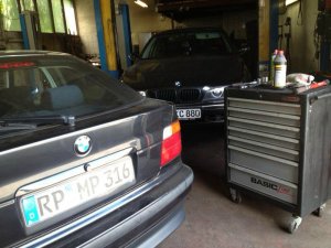 meine Lilly - 3er BMW - E36