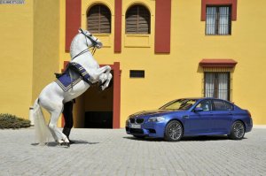 BMW-News-Blog: Mehr Details zum BMW M5 F10 - BMW-Syndikat