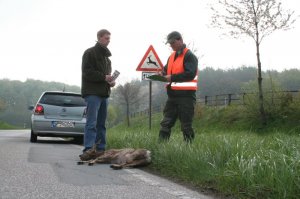 BMW-News-Blog: Bei einem Unfall einen khlen Kopf behalten - BMW-Syndikat