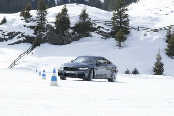 BMW-News-Blog: BMW sorgt fr Entspannung bei Pckchenboten - BMW-Syndikat