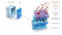 BMW-News-Blog: Nanofaser-Technologie fr bessere Luftqualitt im Auto